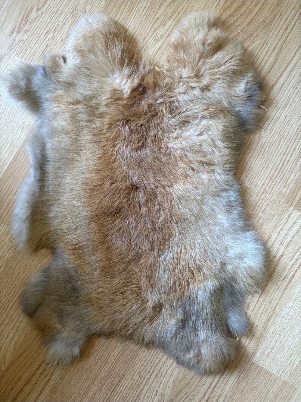 B0107 rabbit pelt